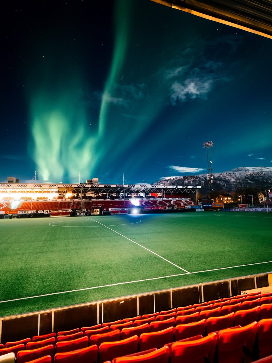 Fútbol Noruego tweet media