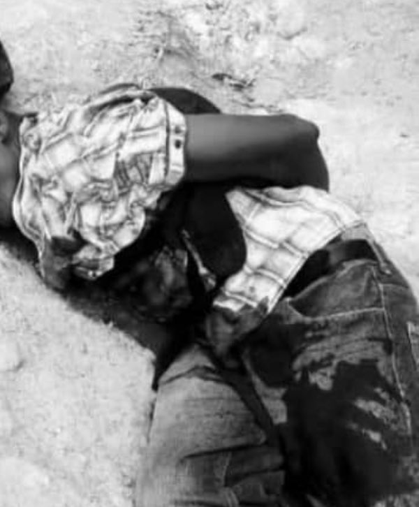 Radio Tele Signal tweet media