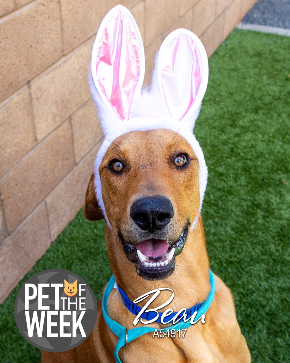 City of Moreno Valley tweet media