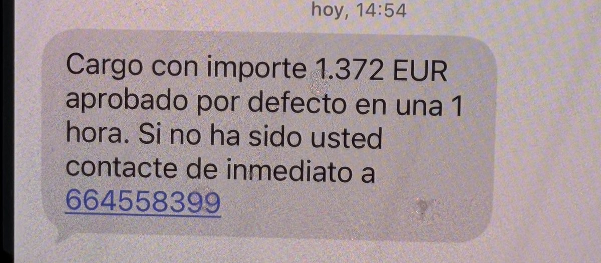 JaviZone 🚀 tweet media