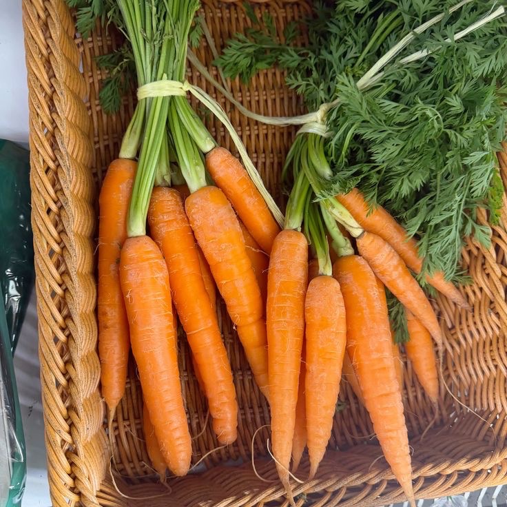 robin 𐙚 tweet media