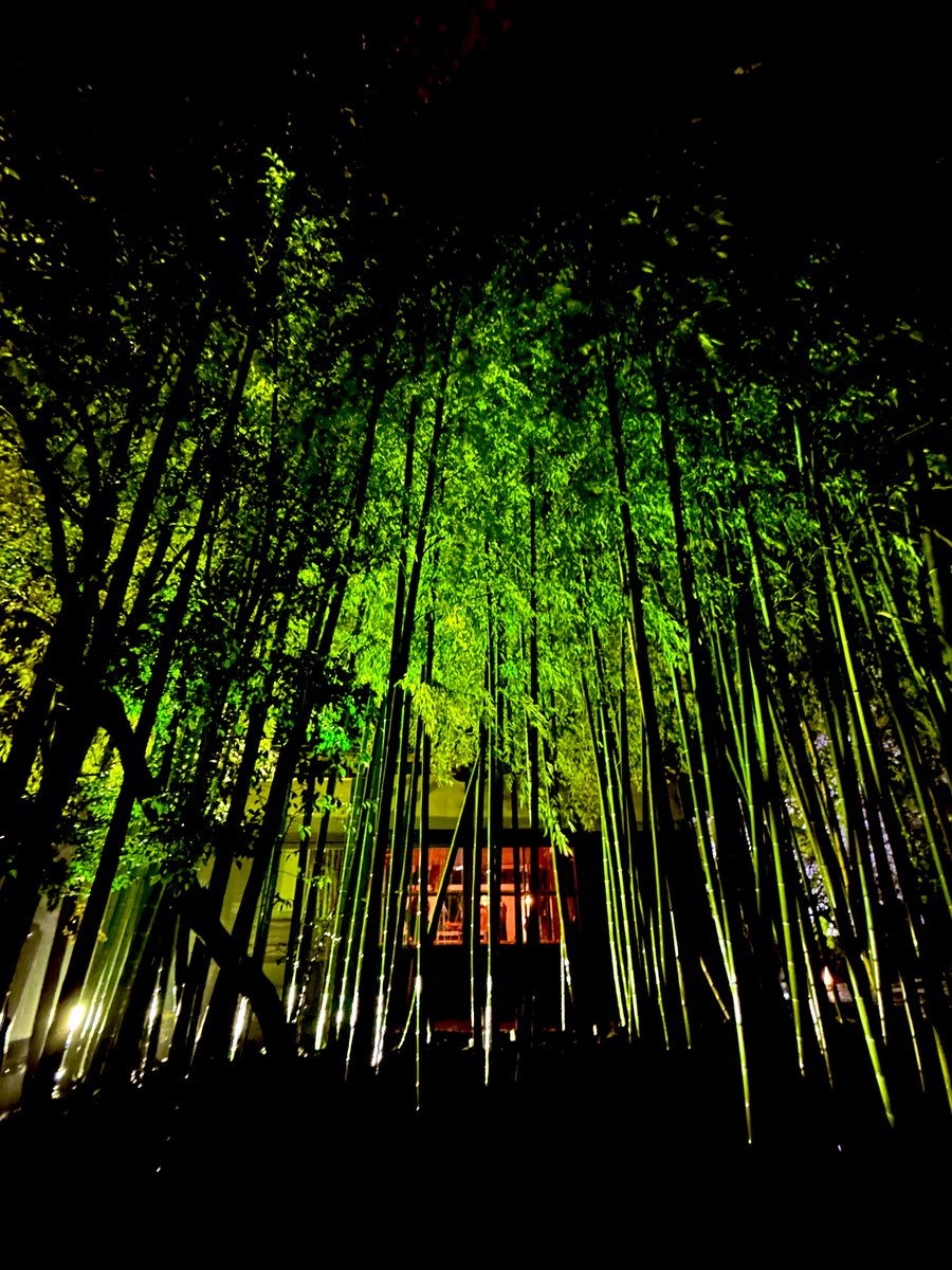 Q͜Q͉F… tweet media