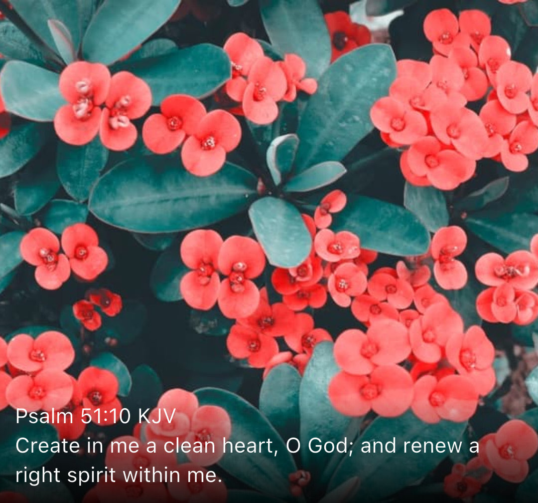 New Testament Christian Church Of Brooklyn, NY tweet media