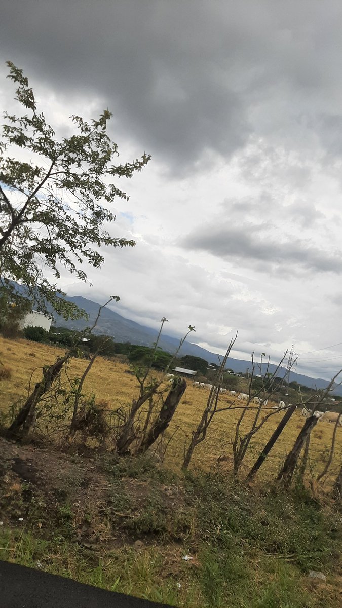 04-04-2026 🌟🔥🌞 
Buenos días, good morning, bom dia 💪😀

#GoodMorning #BuenosDias #bomdia #actitud  #masculino #1976 #calestenia

Ven
intimo.ness-fitness.com/membresias
.
#intimo #hombremasculino #masde40 #coachfitness #actitud #lantinsilverfox #masculinidad #energiavital #talcomosoy