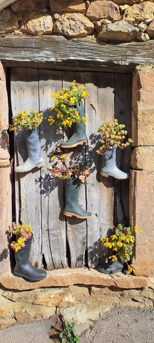 Oxímoron tweet media