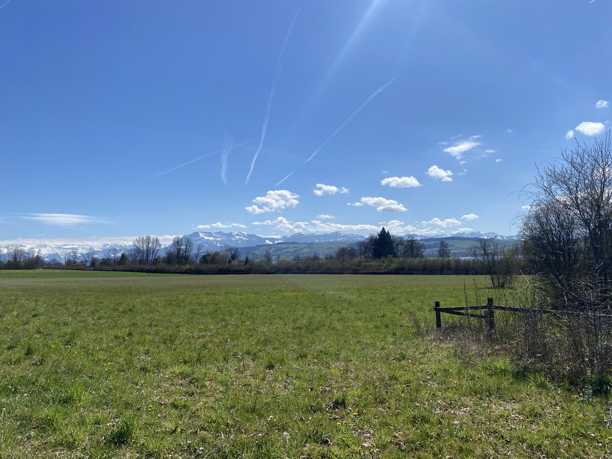 Dr. PJ 🐈 tweet media