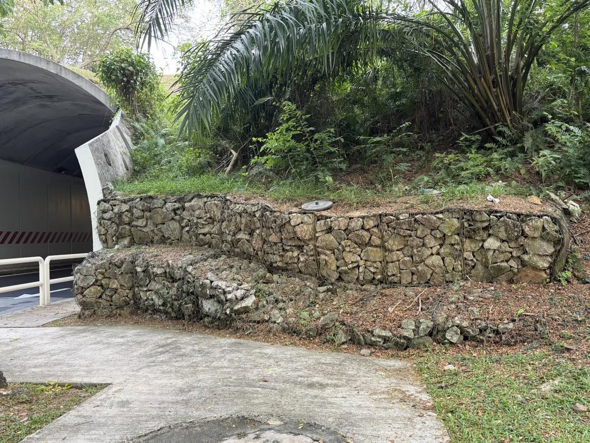 Apluto 🐾 🎒 tweet media