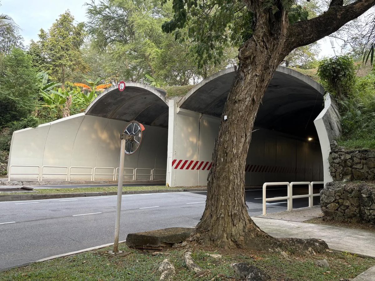 Apluto 🐾 🎒 tweet media