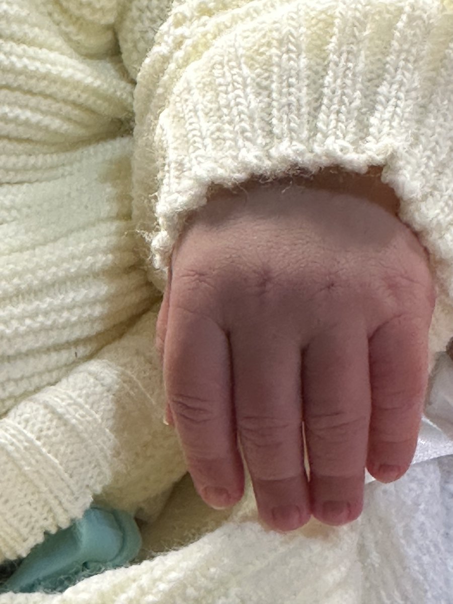 Itzamp⚡️✨ tweet media