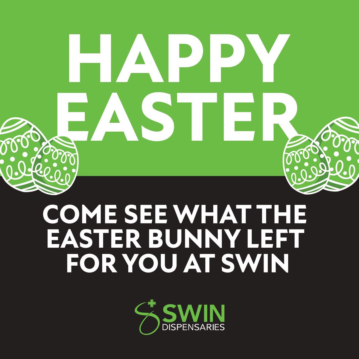 Swin_Farms's tweet photo. Eggs-tra special vibes happening now. Stop in today to see what Swin has for you! https://t.co/jEkVkQWWLa