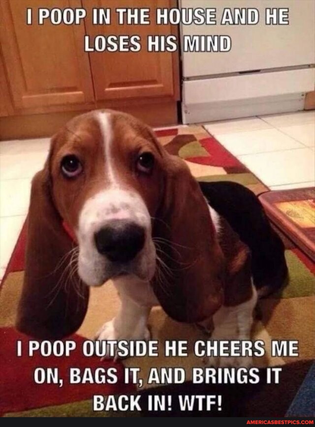 Dalegusmc1981's tweet image. #house #loses #mind 
americasbestpics.com/picture/1mAy9X…
#AmericasBestPicsAndVideos