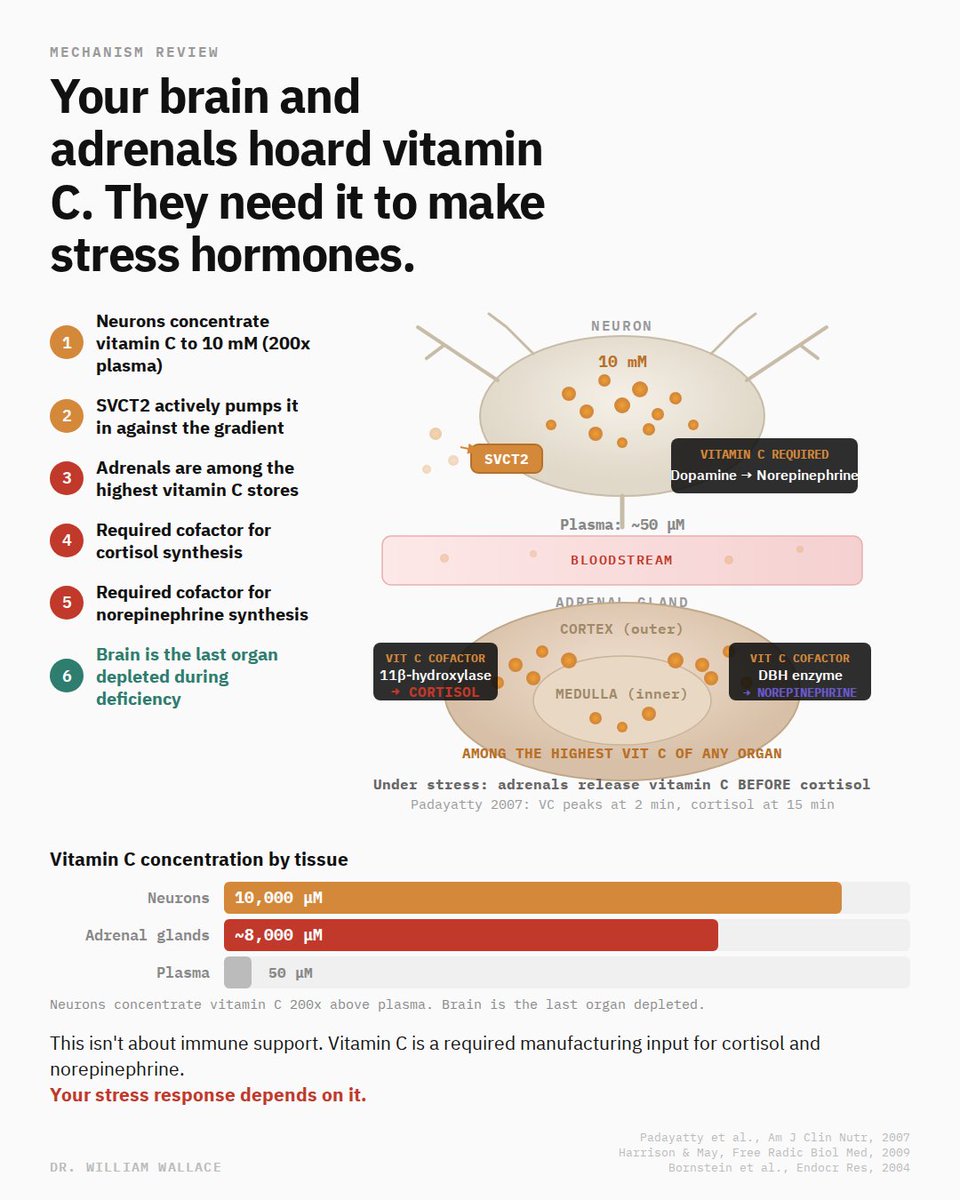 William A. Wallace, Ph.D. tweet media