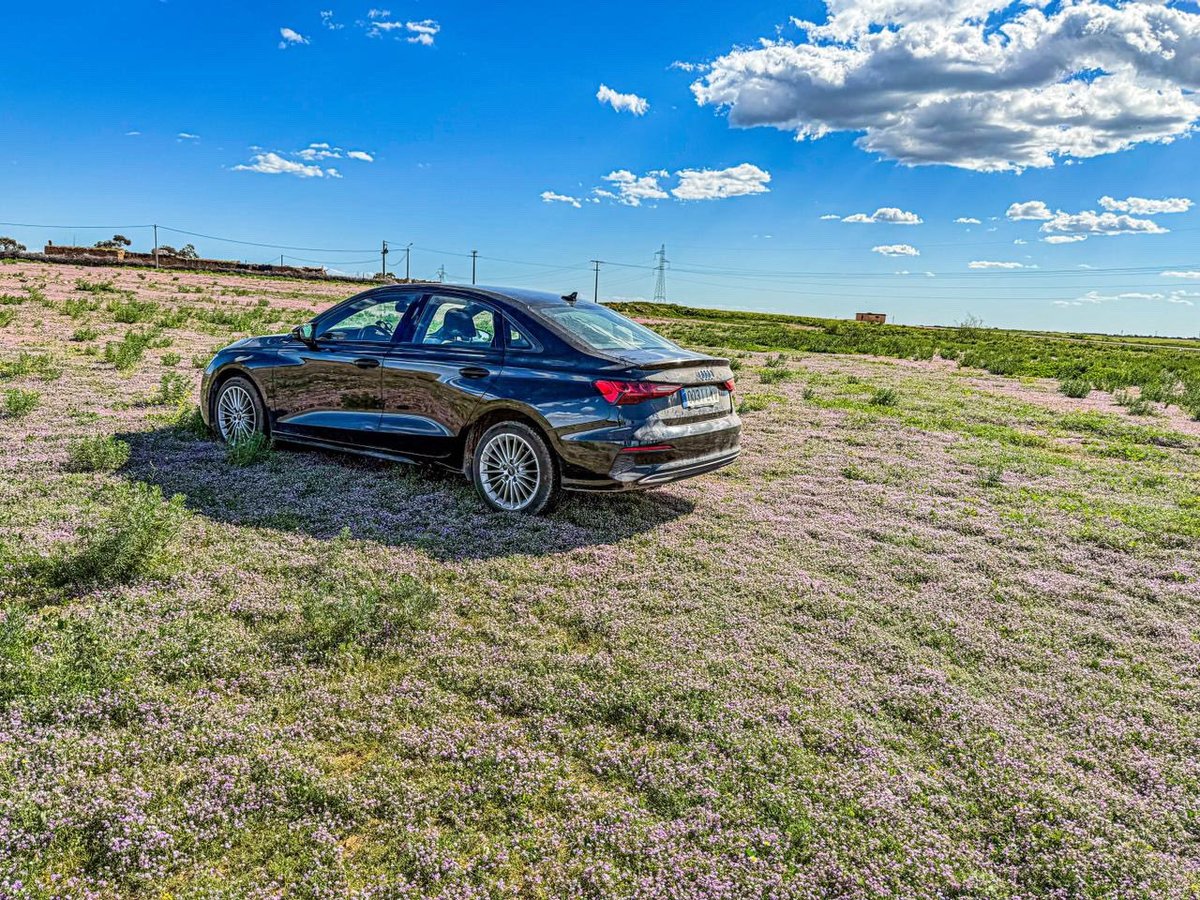 🚐 Evita problemas en frontera y viaja a Marruecos con total seguridad  

En Amounal Rent a Car te lo ponemos fácil para cruzar sin preocupaciones.  

✔️ Autorización incluida  
✔️ Vehículos preparados  
✔️ Asesoramiento completo  
✔️ Contratar Carta Verde