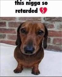 chuddyTNDgem tweet media