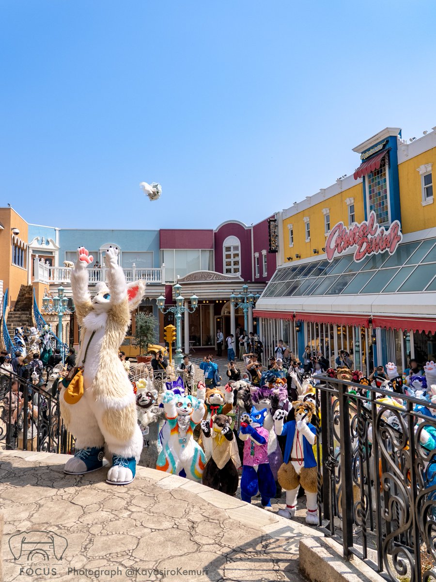 ケモノフォーカス | Kemono Focus tweet media