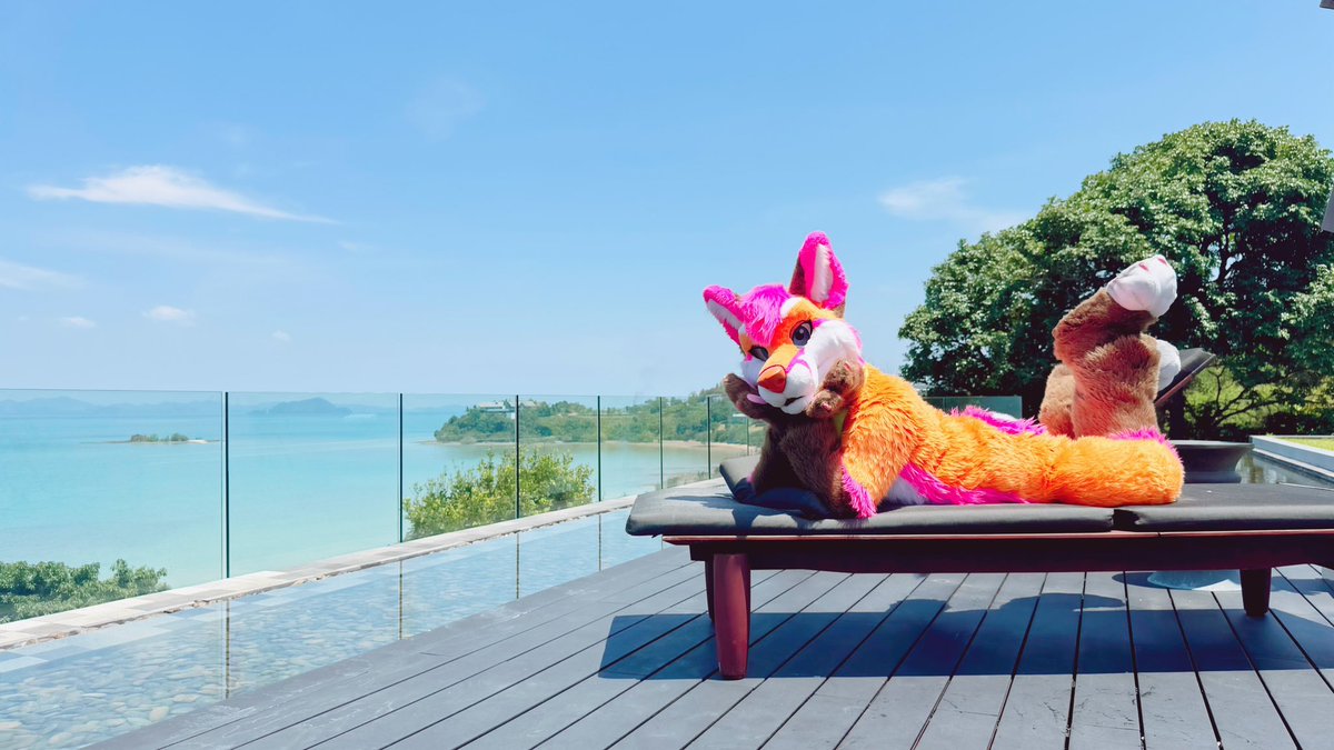 🦊 Kiyochii Thefox ✨ tweet media