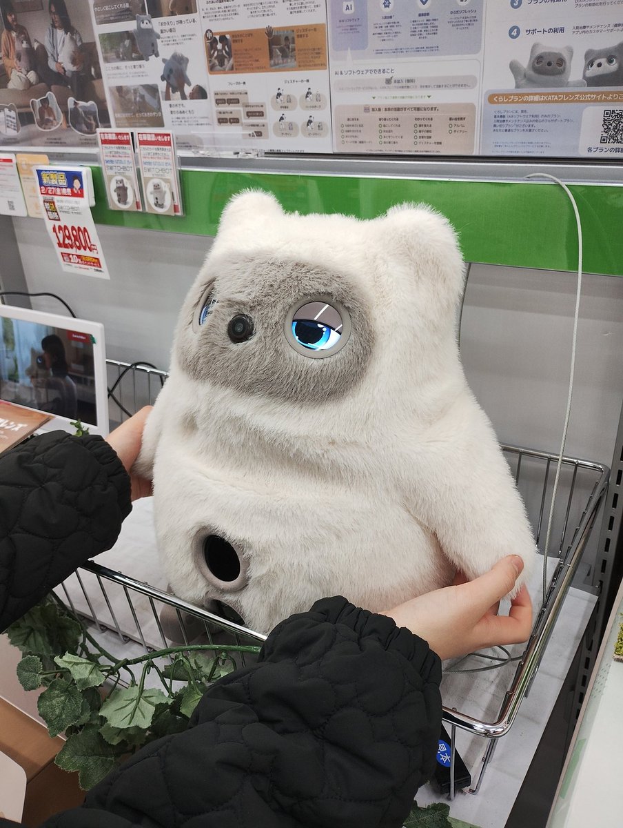 こなでーママ tweet media