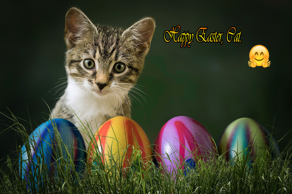 John Scetti tweet media