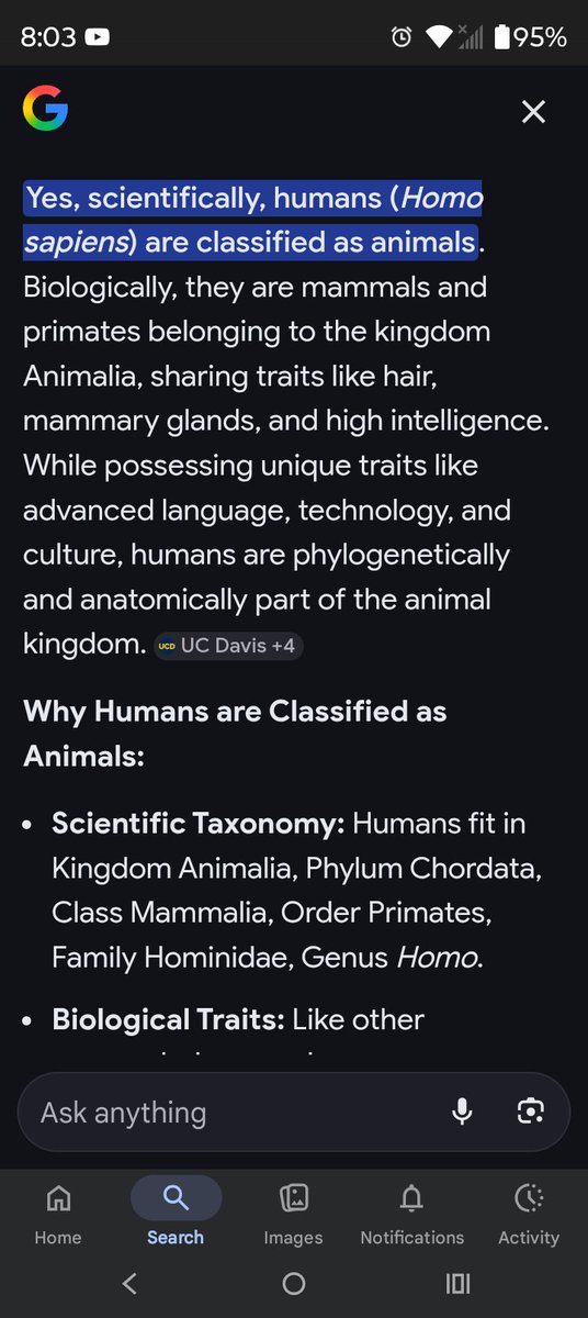 Odinsson tweet media