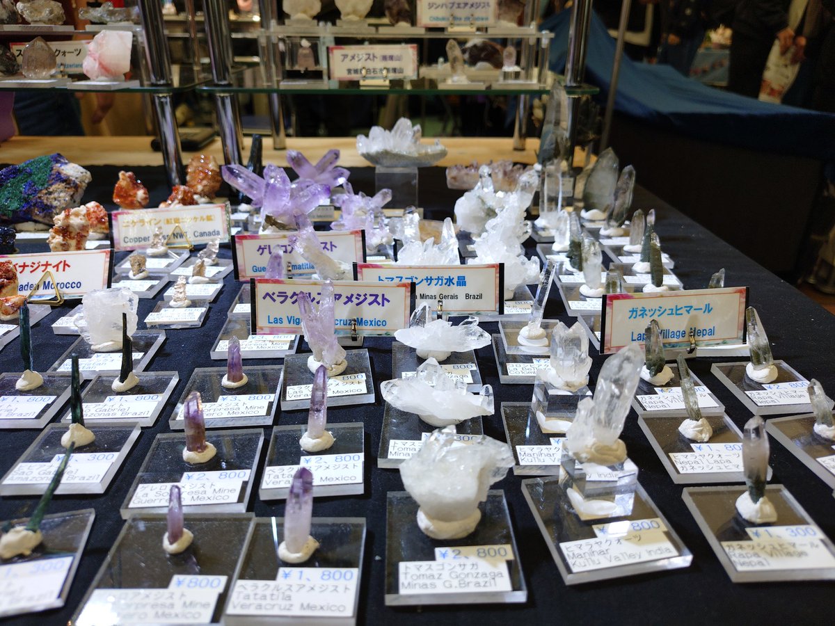 kooga(くーが) tweet media