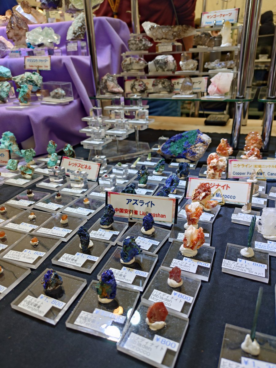 kooga(くーが) tweet media