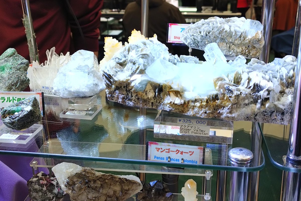 kooga(くーが) tweet media