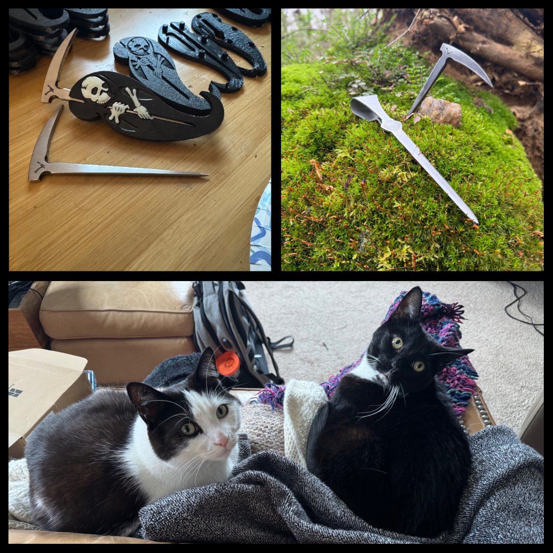 Wingard Wearables Co tweet media