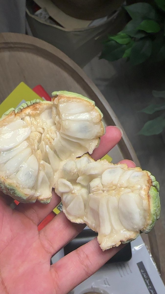 C.zahraa Alsharif tweet media