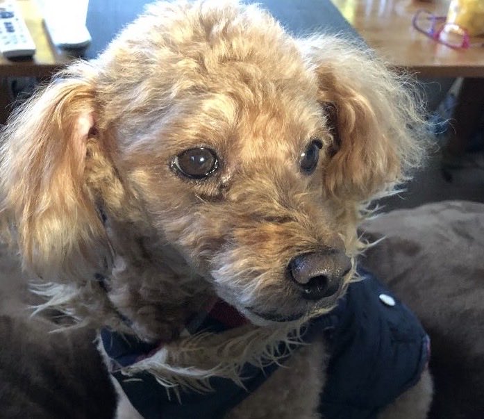 masaea1023 tweet media