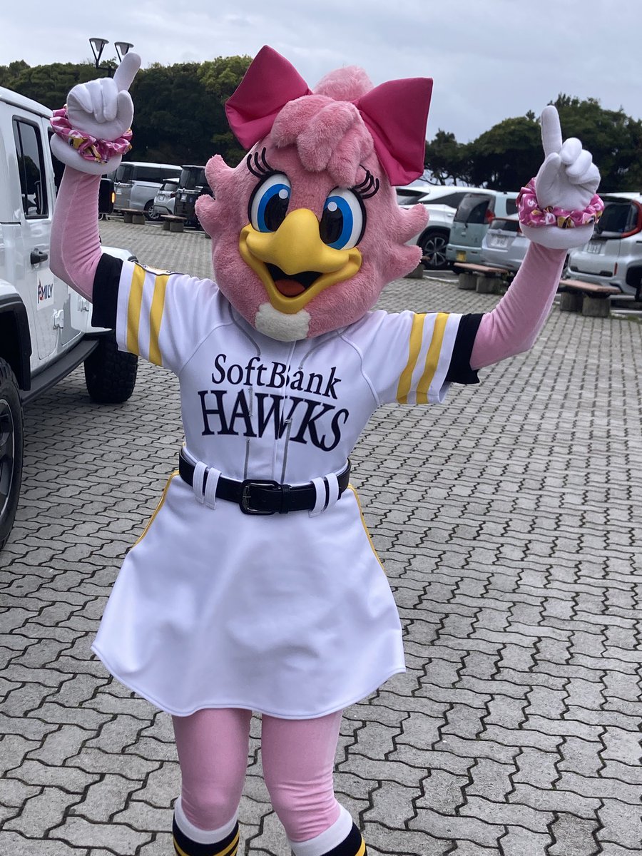 ぺーいしゃん🫑🕊️🐧⚽️⚾️。 tweet media