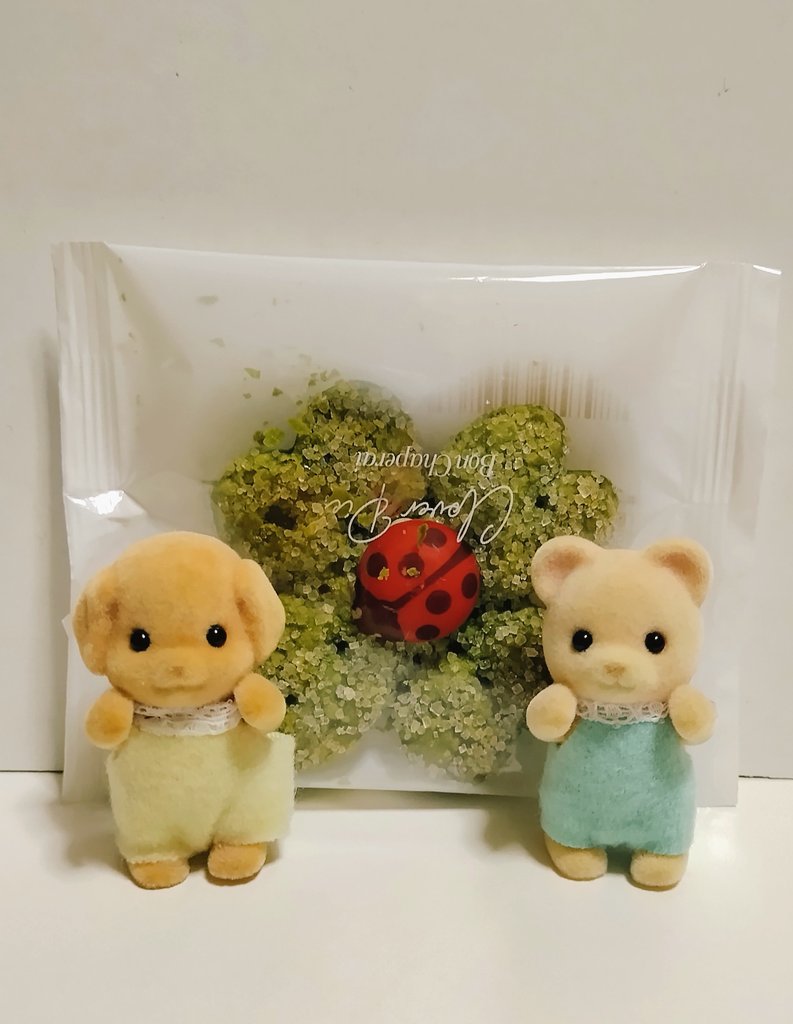 ほのっぴ tweet media