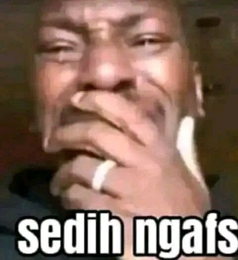 RainCerys .◜ᴗ◝ tweet media