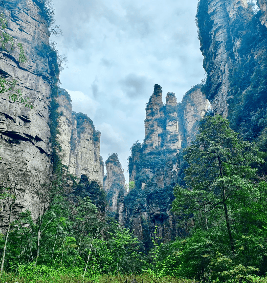 Alan Baldwin tweet media