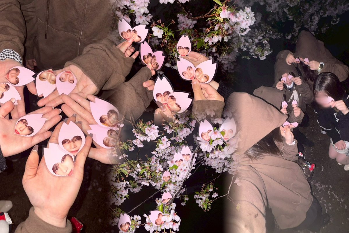 ⚞ • ⚟ tweet media