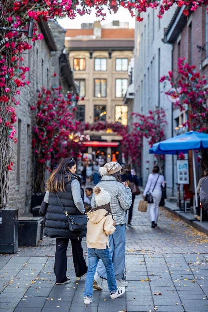 Mon Montréal tweet media