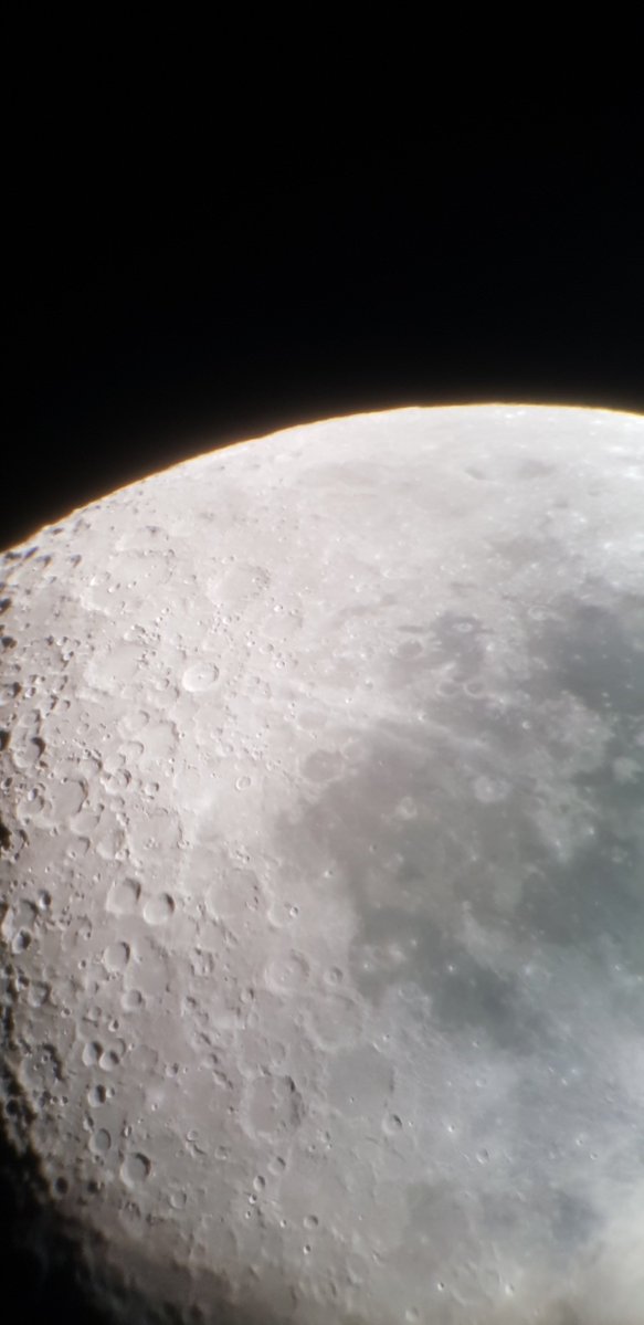 Sunofhydrae❤️💙🦁 tweet media