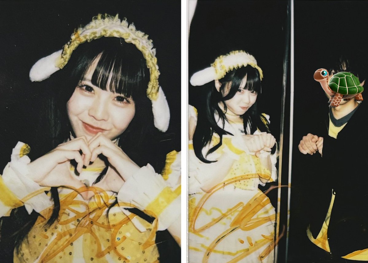 かめさん tweet media