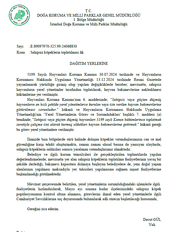 Erman Paçalı tweet media