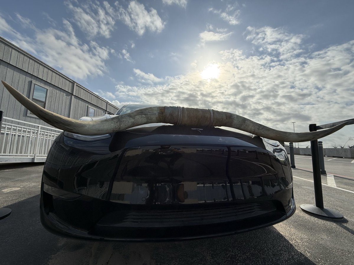 TheCandyManATX's tweet image. Yeehaaa 🤠⚡️
From Gigafactory vibes… to full Texas mode. #atx #texas #tesla #cowboy #longhorn