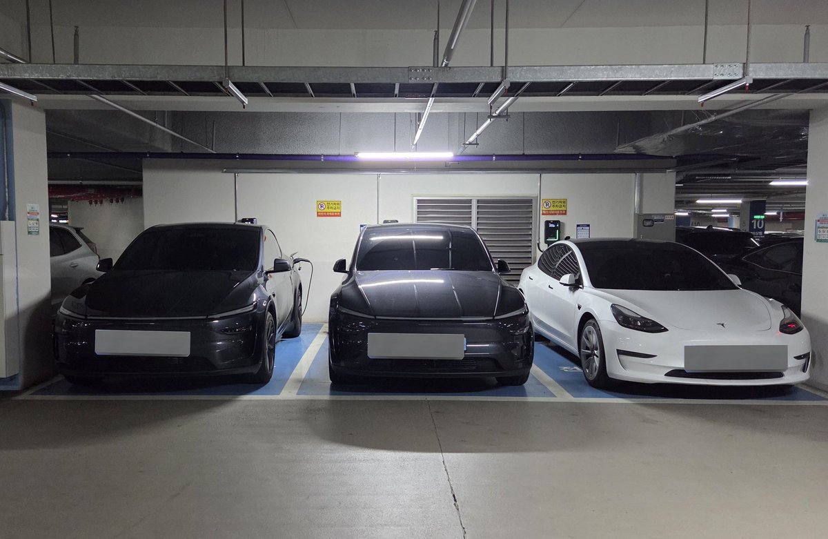 보미파파 tweet media