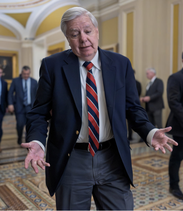 AlbinoParrot tweet media