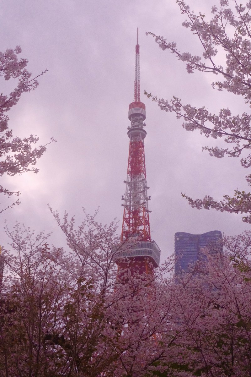 식물아래🌿이젤 tweet media