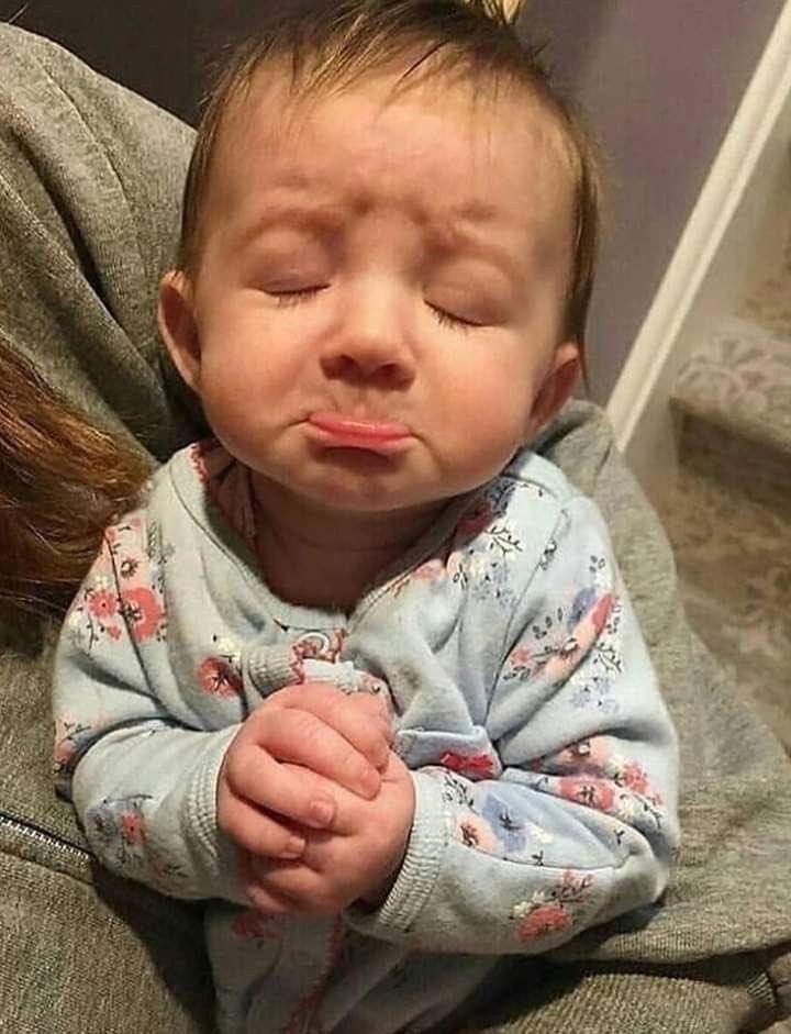 Preshynikky tweet media