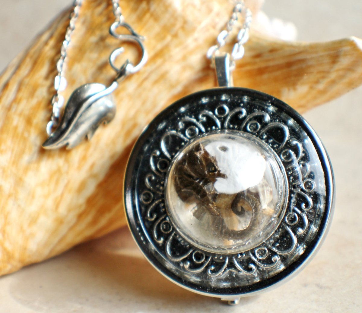 charsfavorite's tweet photo. Discover timeless elegance with our Seashell Music Box Locket in Silvertone for just $135. Capture memories and melodies in one exquisite piece. #JewelryLovers #MusicBoxMagic

Shop Now https://t.co/oa0ifIISn7 https://t.co/NeUlhEGrE0