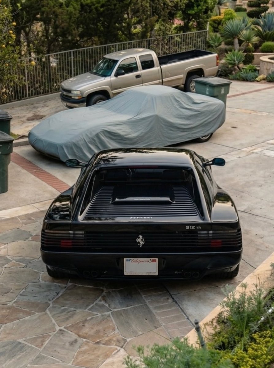 Shtreetwear tweet media