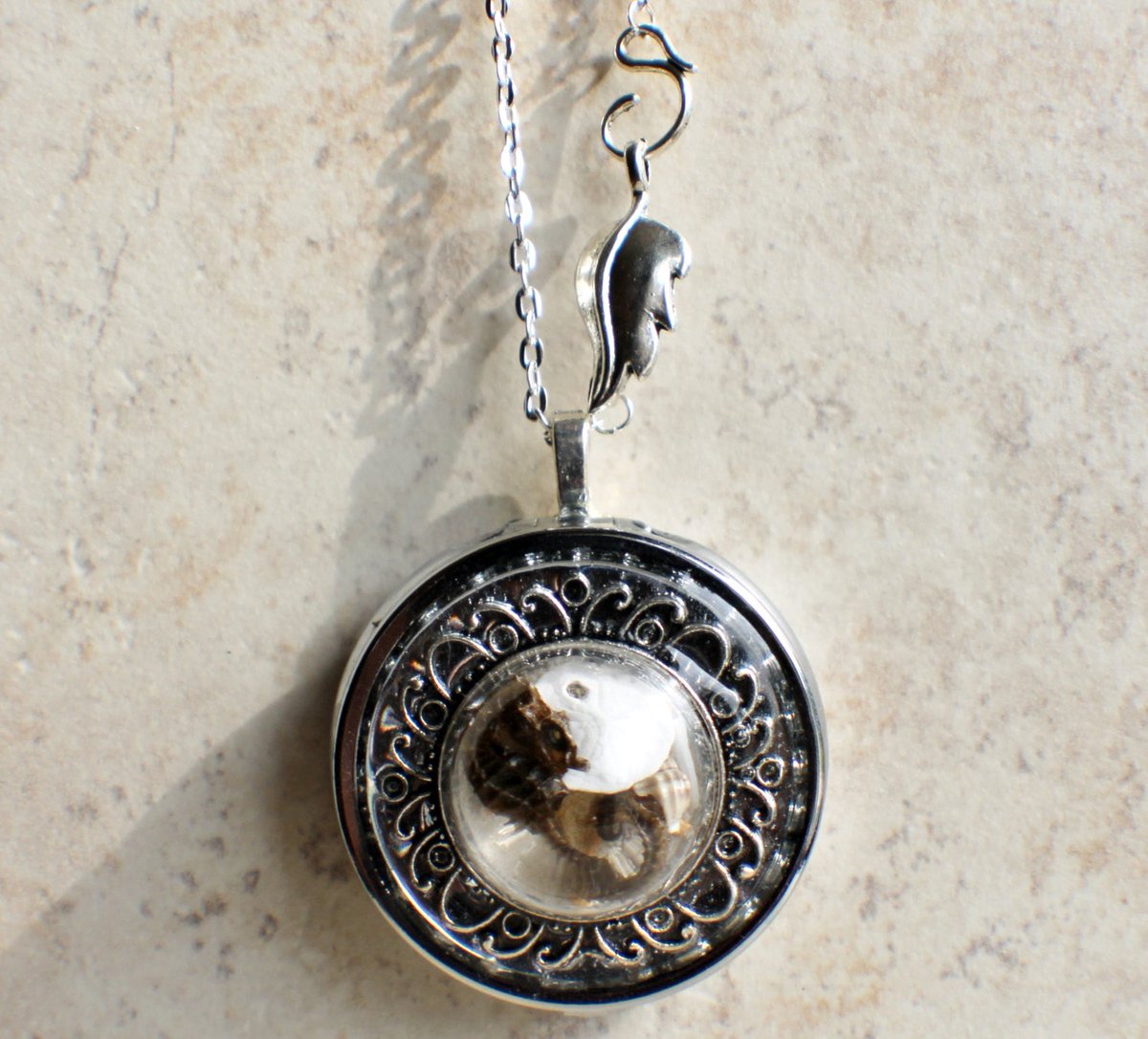 charsfavorite's tweet photo. Discover timeless elegance with our Seashell Music Box Locket in Silvertone for just $135. Capture memories and melodies in one exquisite piece. #JewelryLovers #MusicBoxMagic

Shop Now https://t.co/oa0ifIISn7 https://t.co/NeUlhEGrE0