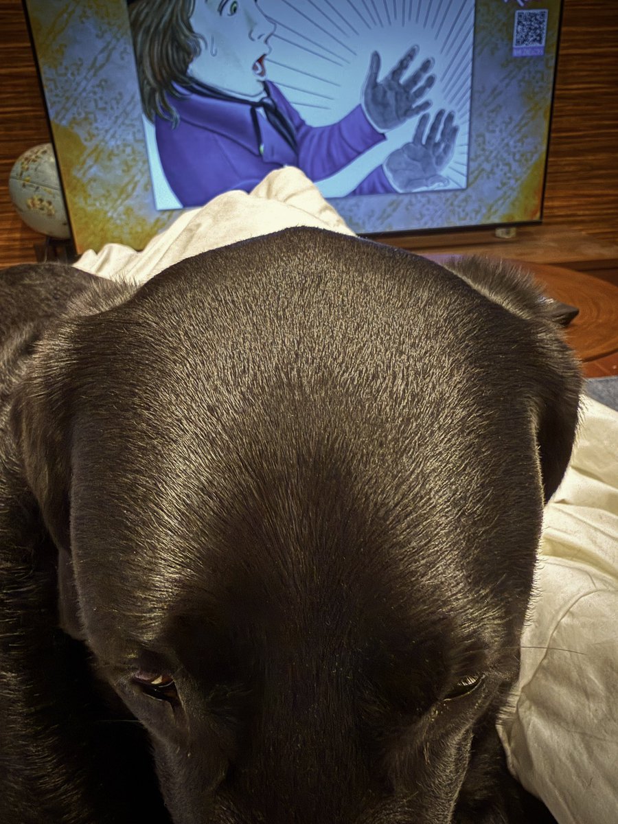 はよなでりん。なでなで上等。
#黒ラブ