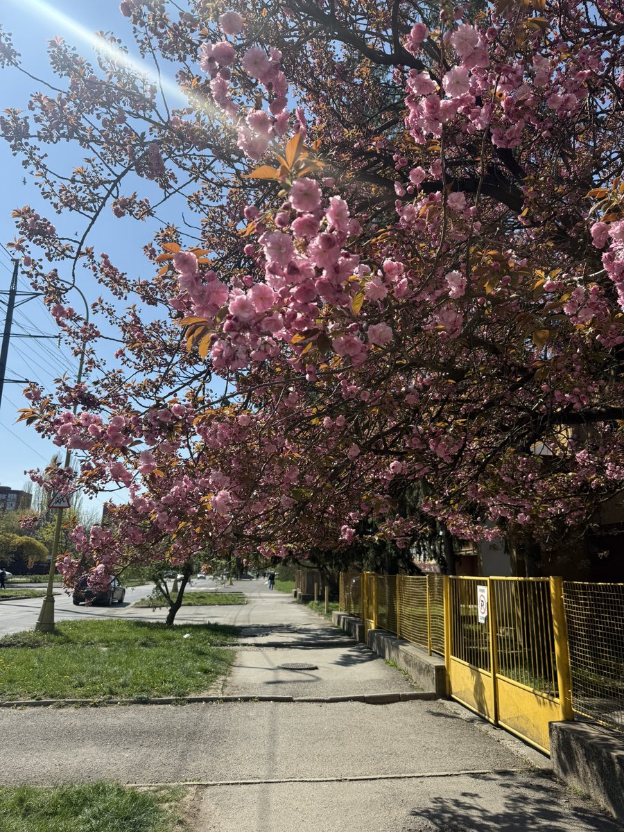 Файна Дівка tweet media