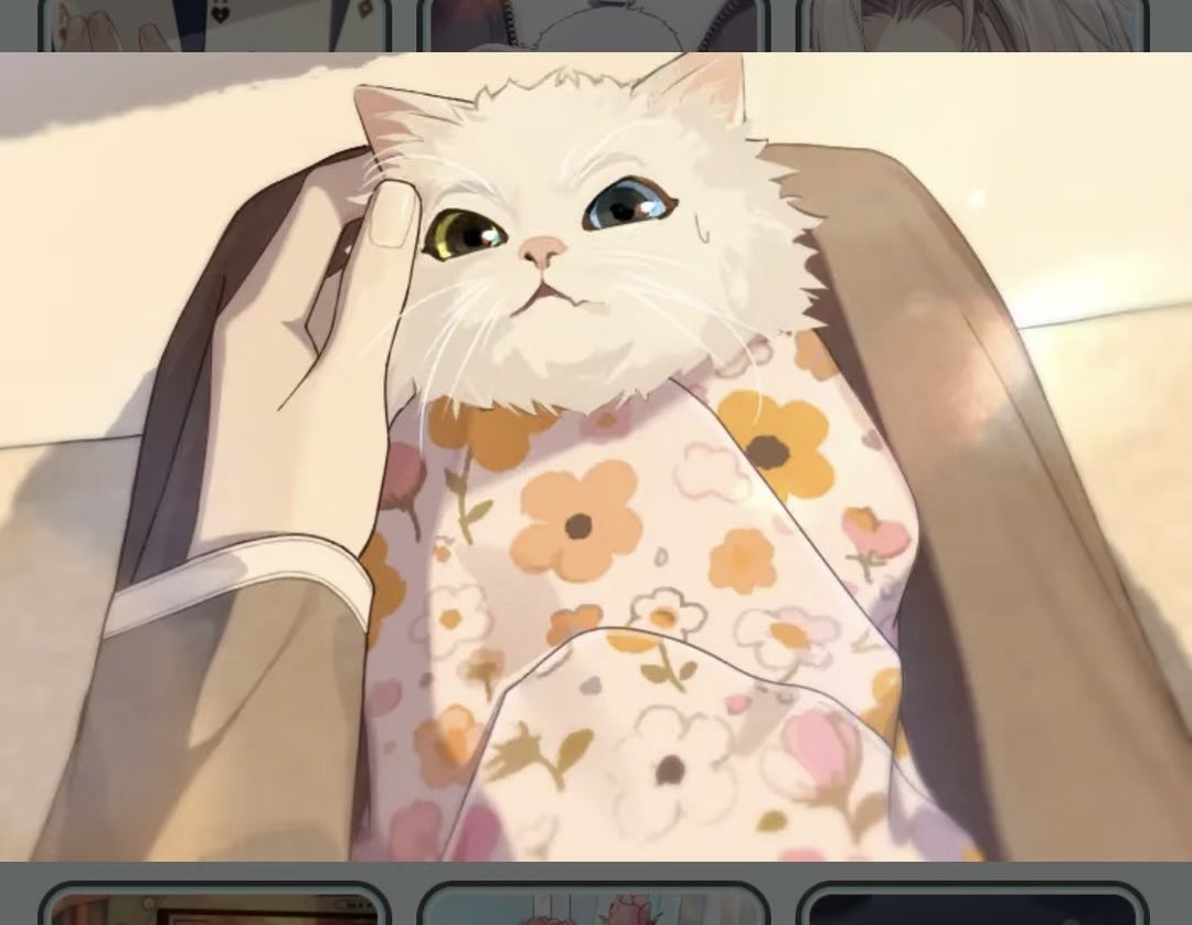 kurtniii 🦉 tweet media