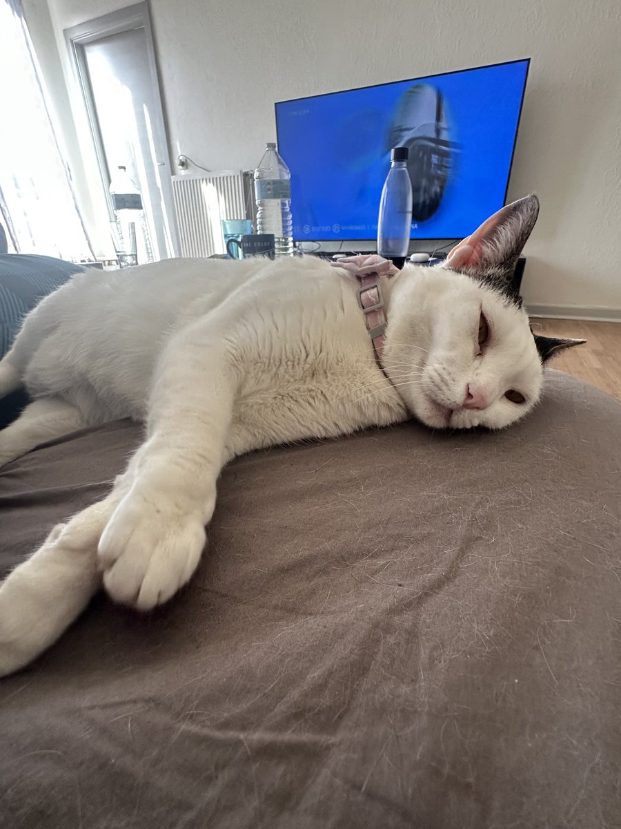 Sotiris Ntasios tweet media